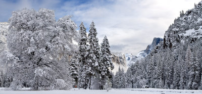 _DSC8292, -93,-95,-97, Half Dome, Clouds Rest, Yosemite Falls Meadow, 3275 x 1525, reduced.jpg