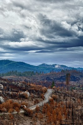 _DSC8678_80_82 HDR,Rd to Thru burned out forest, sky, reduced.jpg