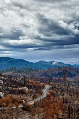 _DSC8678_80_82 HDR,Rd to Thru burned out forest, sky.jpg