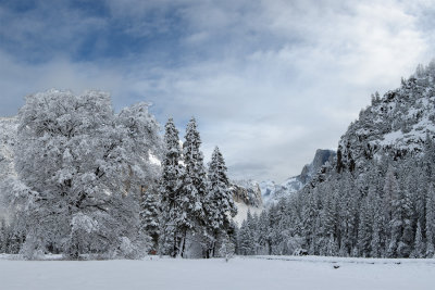 _DSC8287-91 Half Dome, Clouds Rest, Yosemite Falls Meadow, 2100 x 1400.jpg