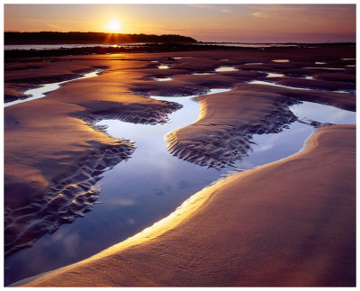 Cambo Sands Tide Pools 1