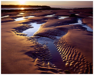 Cambo Sands Tide Pools 2