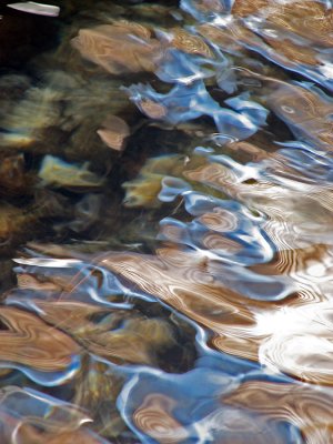 cornelian bay reflections