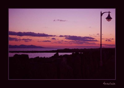 DSC_0141_edited-1.jpg