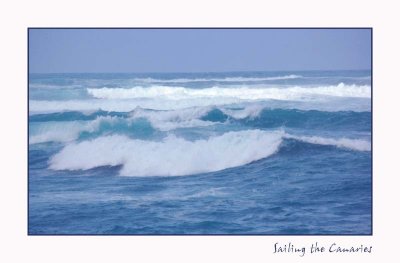 DSC_0157_edited-1.jpg