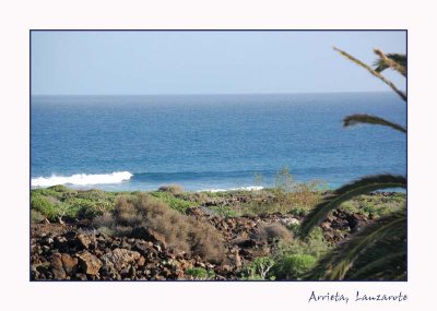 DSC_0271_edited-1.jpg