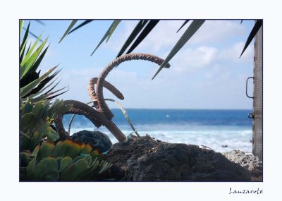 DSC_0306_edited-1.jpg