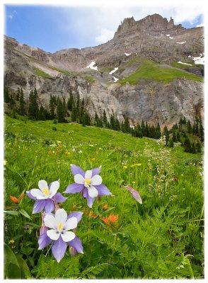 Yankee Boy Basin.jpg