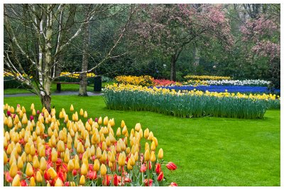 Keukenhof Gardens 2