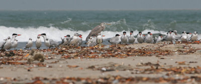 Beach - Strand