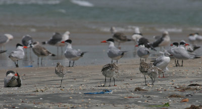 Beach - Strand