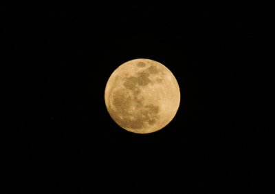 Moon - Maan