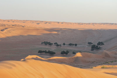 Desert - Woestijn
