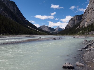 Bow River along HWY 93