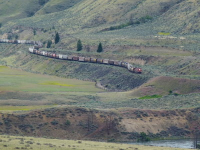 Train Snake in Sagebrush Country, BC