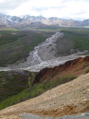 Large valley in Denali NP