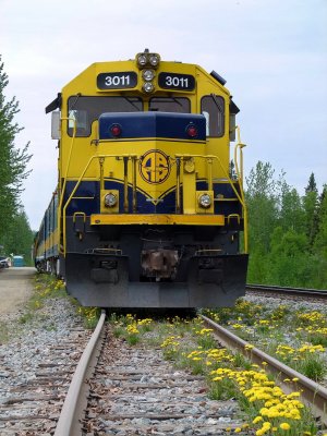 3011 in Talkeetna