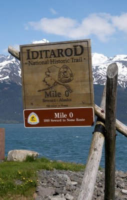 Iditarod - a (very) long way to Nome