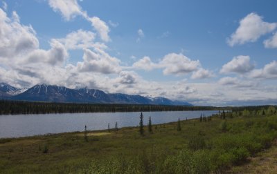 Early Summer in Alaska