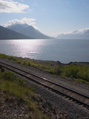 Tracks on the shores of Turnagain Arm