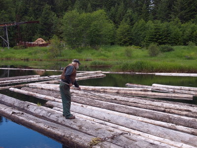 Lining up the logs