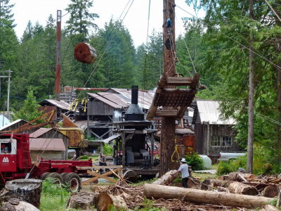 Loading loggs using a Steam Donkey, a Spar Tree, and a Derrick