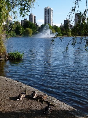 View from Stanley Park (6)