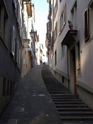 Narrow Streets of the Niederdorf (1)
