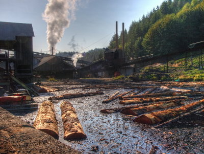 Hull-Oakes: Steam operated lumber mill in Western Oregon