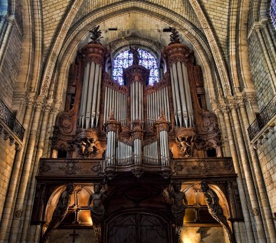 Organ