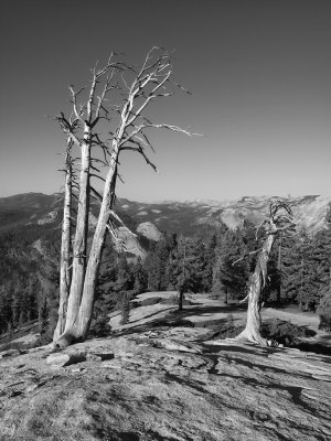 On Sentinel Dome