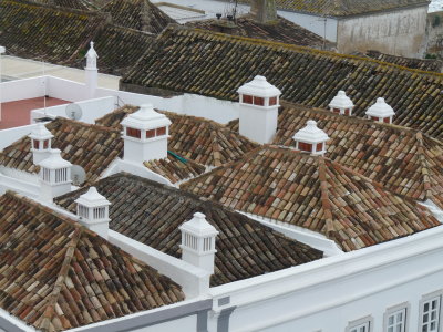 roofs and chimneys