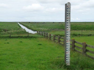staff gauge