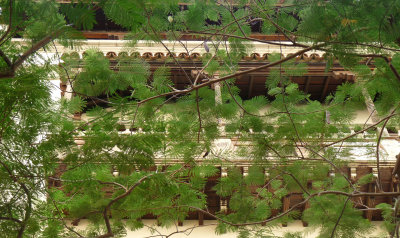 green veiled loggia
