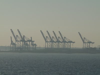 crane parade