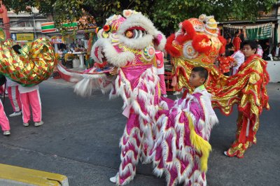 Small Chinese Dragons