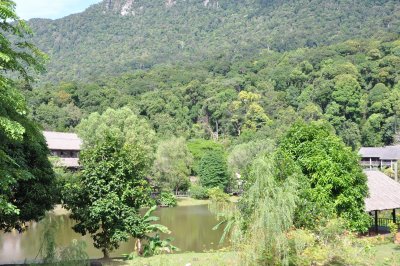 View from longhouse 1