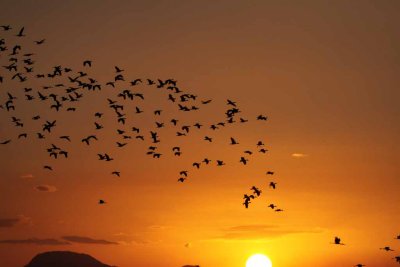 Rancho Solimar Sunset