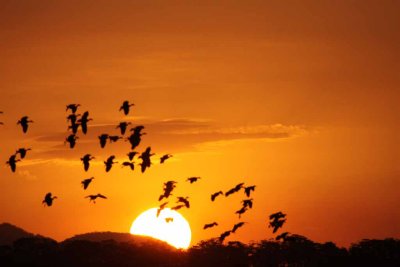 Rancho Solimar Sunset