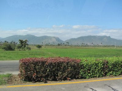 IMG_1812.jpg