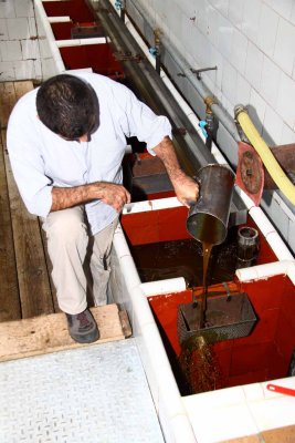 Pouring Oil Taken from the Oil-Water Separator