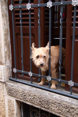 Scenes in Soller - Can I Go Home With You