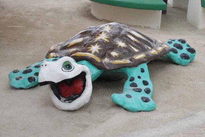 Happy Tortoise