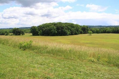 The Landscape