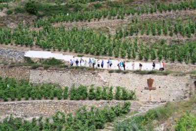 The Walk to La Chapelle - Paul Jaboulet Aine