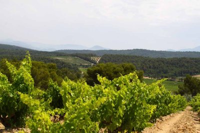 Visit to Domaine Mourchon