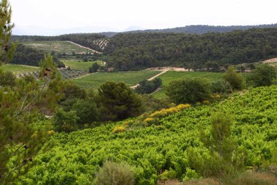 Visit to Domaine Mourchon