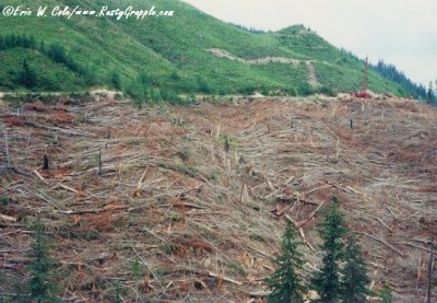 Madill 046 Setting at Vail, 1997