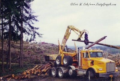 My Own Logging Fun: The 1990's