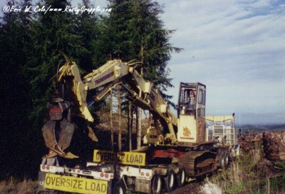 Helicopter Thinning at Tenino 1996